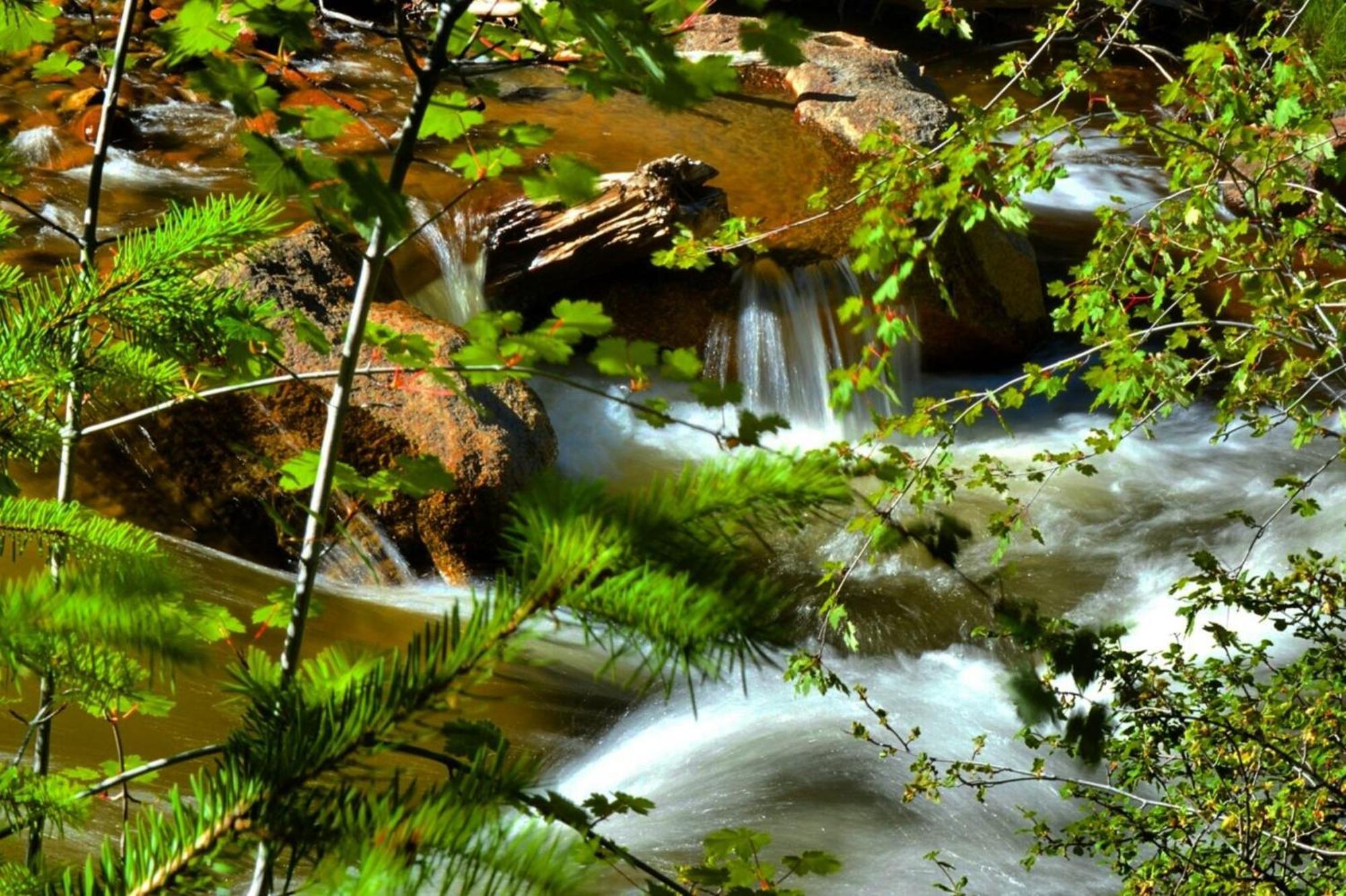 Stonebrook Resort - Adult Only Estes Park Esterno foto